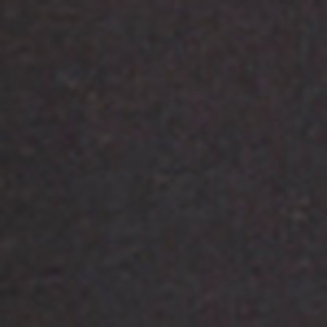Tumble Shorts - Image 4