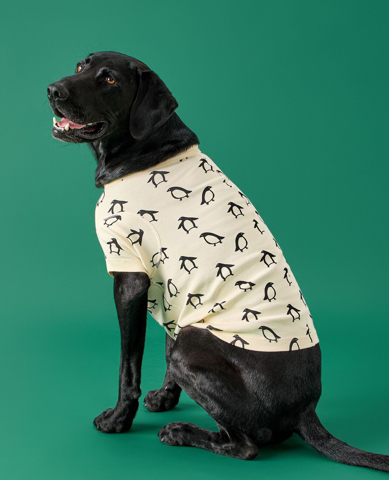 Holiday Dog Pajamas - Image 4