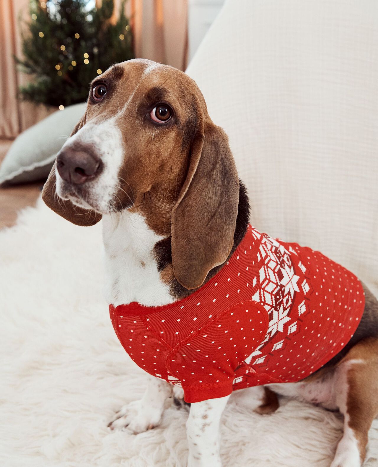 Holiday Dog Pajamas - Image 33