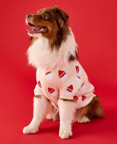 Holiday Dog Pajamas