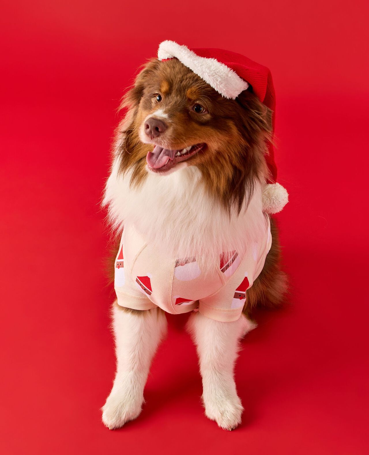 Holiday Dog Pajamas - Image 3