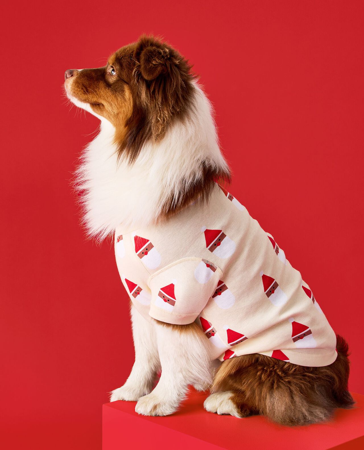 Holiday Dog Pajamas - Image 4