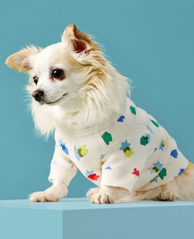 Holiday Dog Pajamas