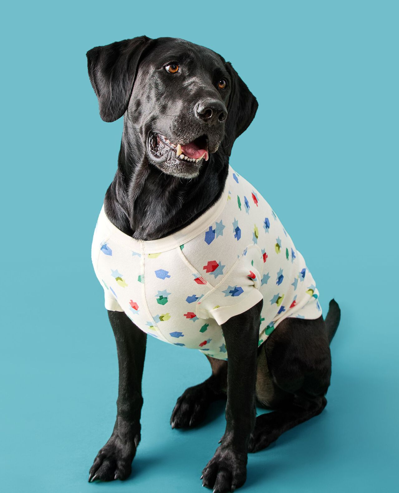 Holiday Dog Pajamas - Image 3