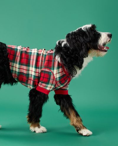 Holiday Dog Pajamas