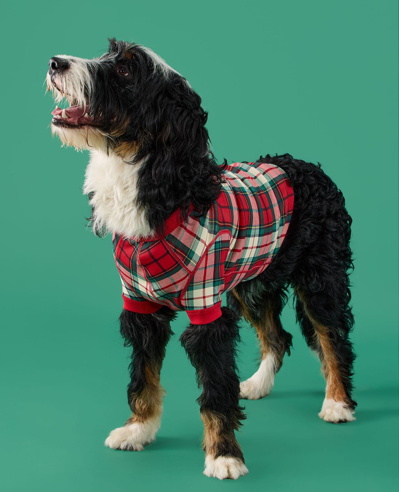 Holiday Dog Pajamas - Image 3