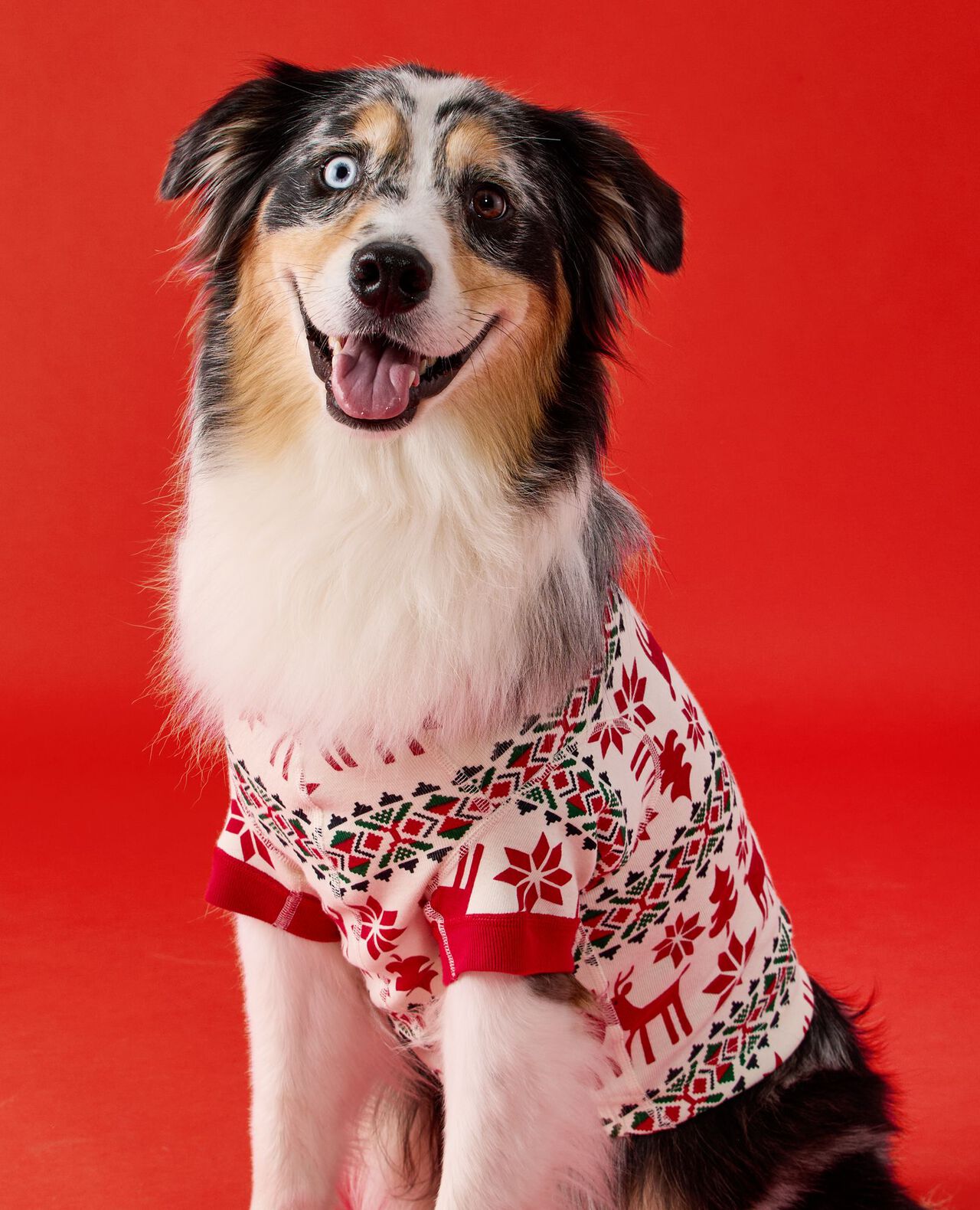 Holiday Dog Pajamas