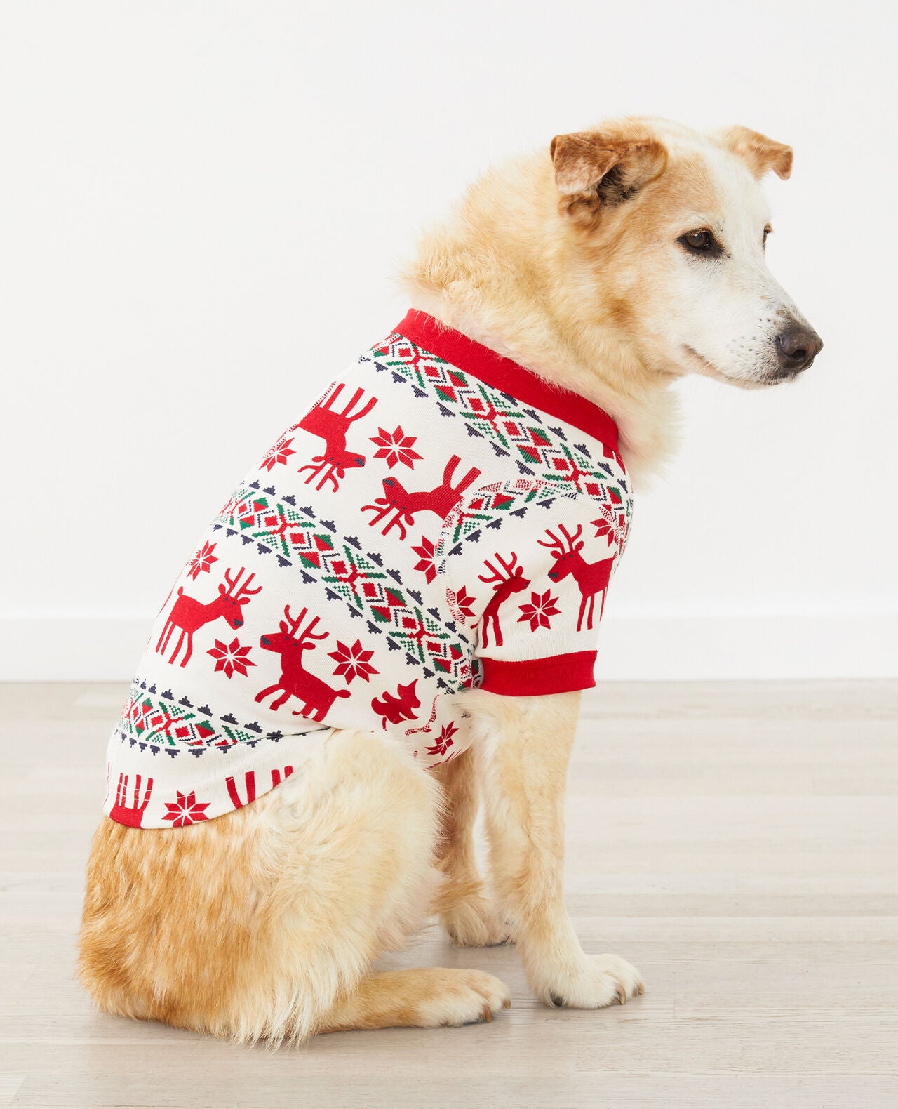 Holiday Dog Pajamas - Image 4