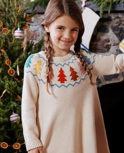 Holiday Sweater Dress