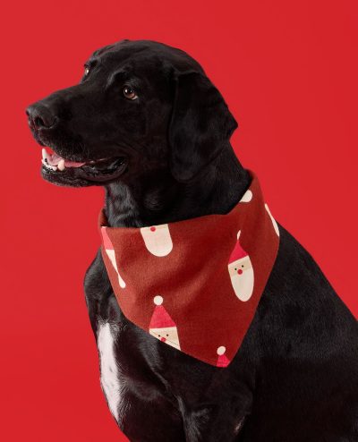 Holiday Flannel Dog Bandana