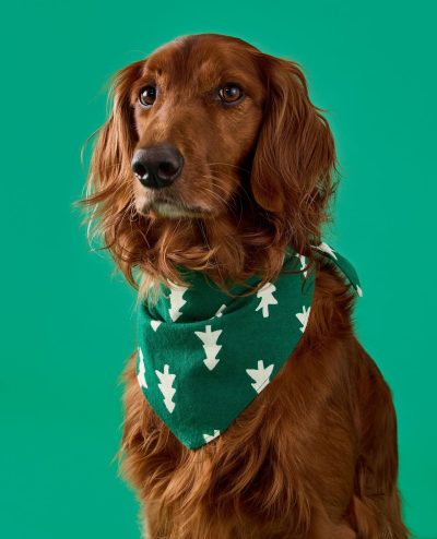 Holiday Flannel Dog Bandana