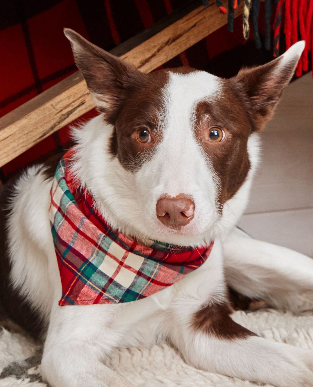 Holiday Flannel Dog Bandana