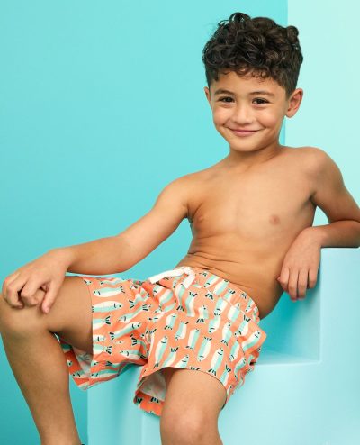 Swim Trunks