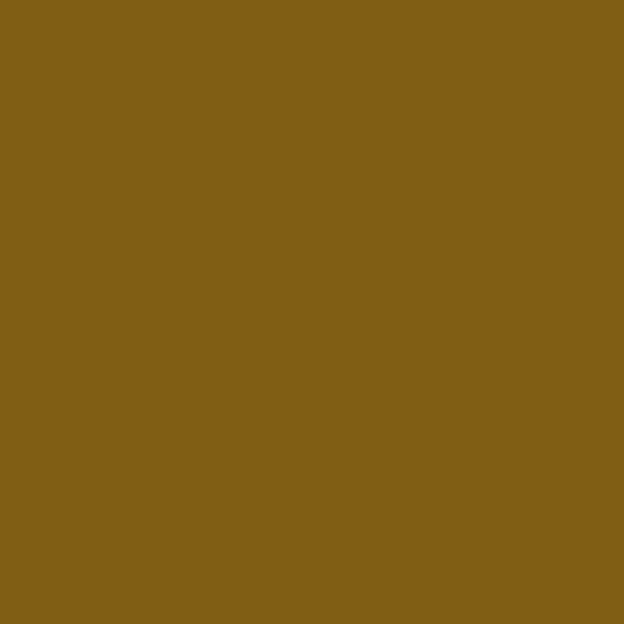 Loose Fit Canvas Carpenter Pants - Image 11