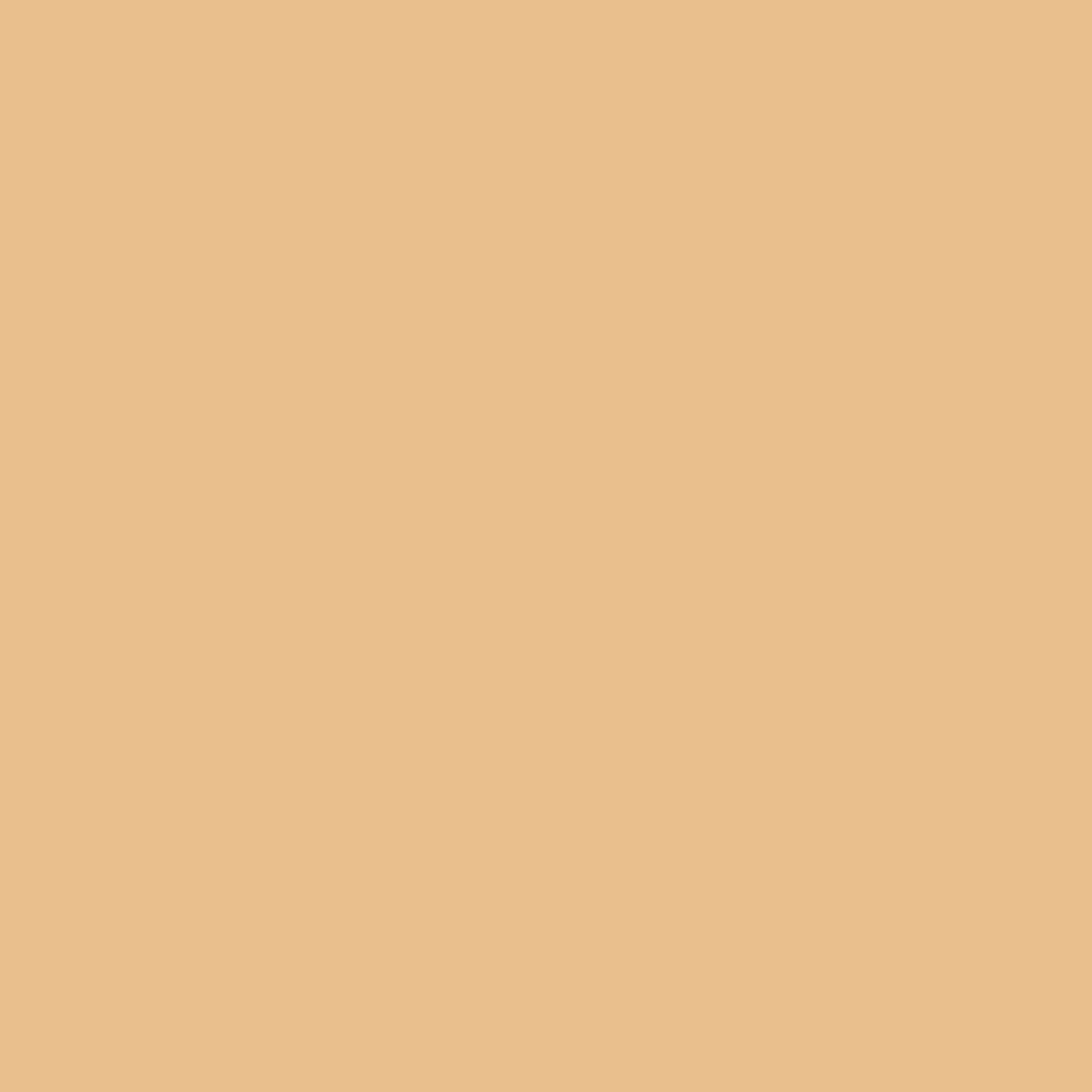 Loose Fit Canvas Carpenter Pants - Image 10