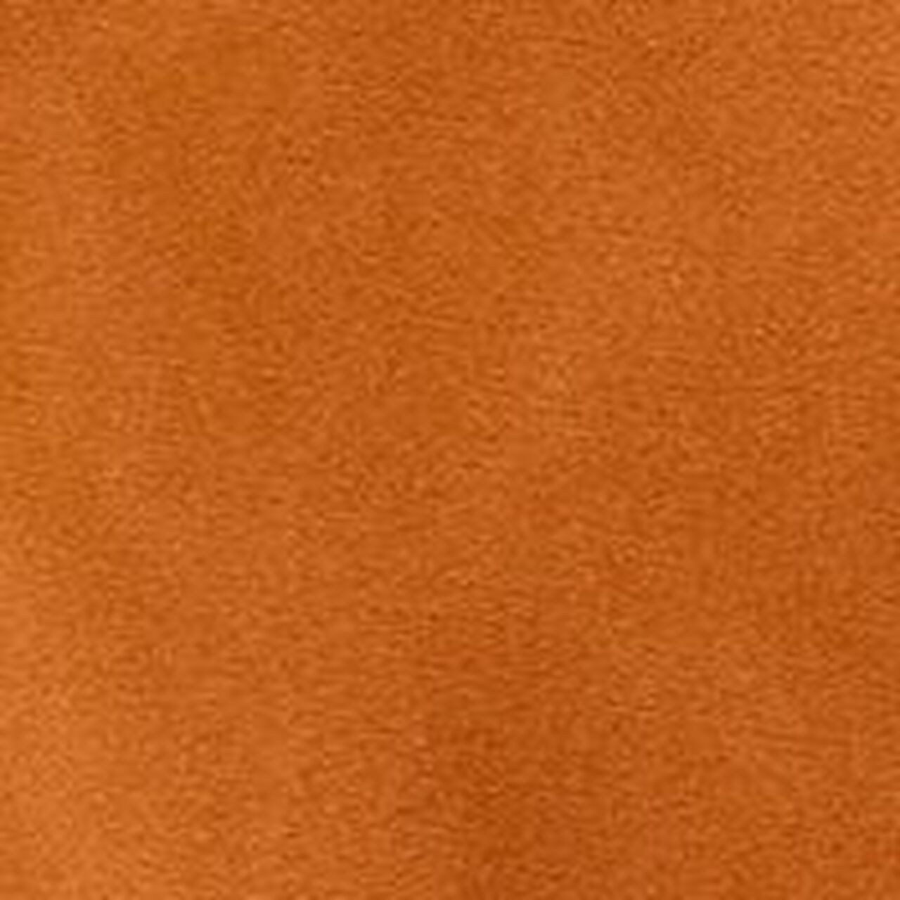 Canvas Pull-On Lined Pants - Image 4
