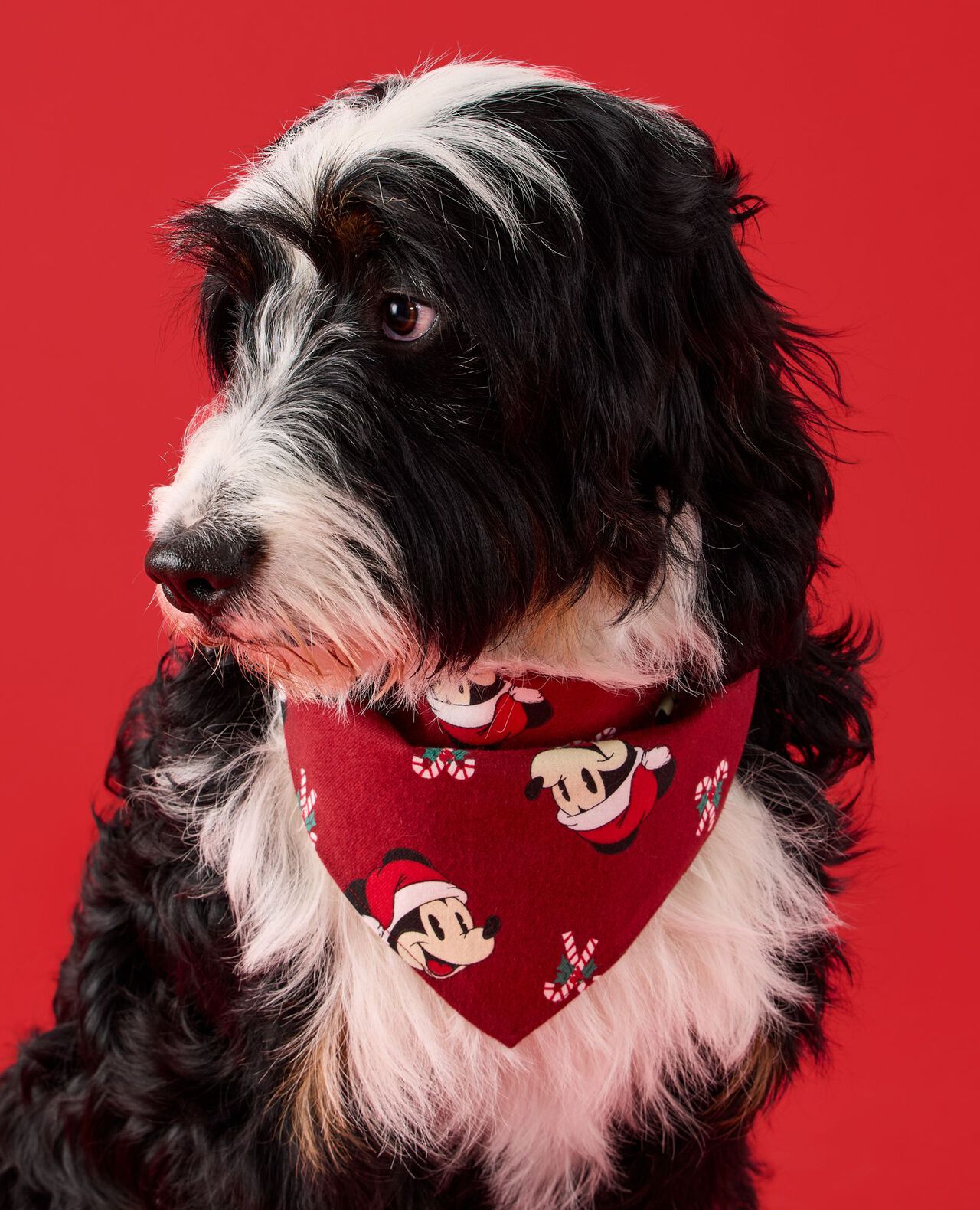 Disney Mickey Mouse Holiday Flannel Dog Bandana