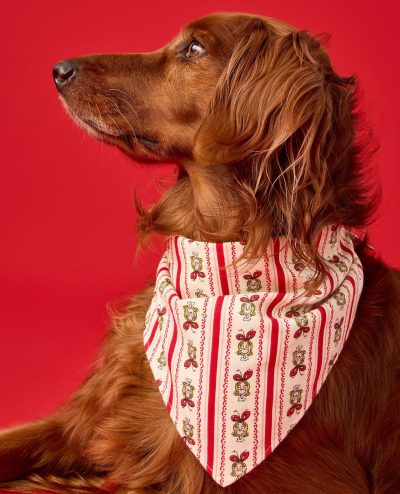 Dr. Seuss Grinch Flannel Dog Bandana