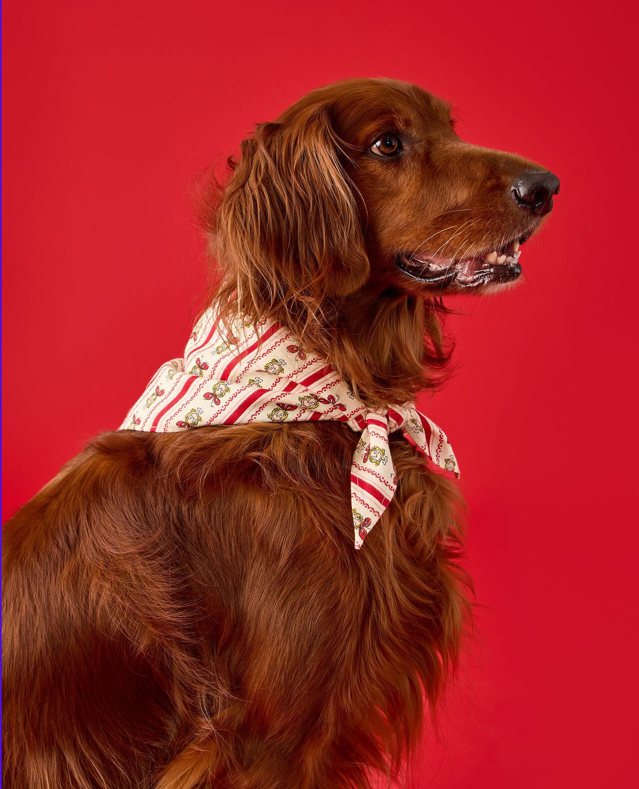 Dr. Seuss Grinch Flannel Dog Bandana - Image 3