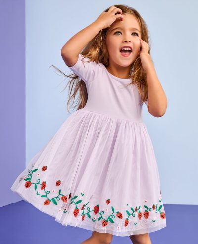 Tulle Embroidered Skater Dress