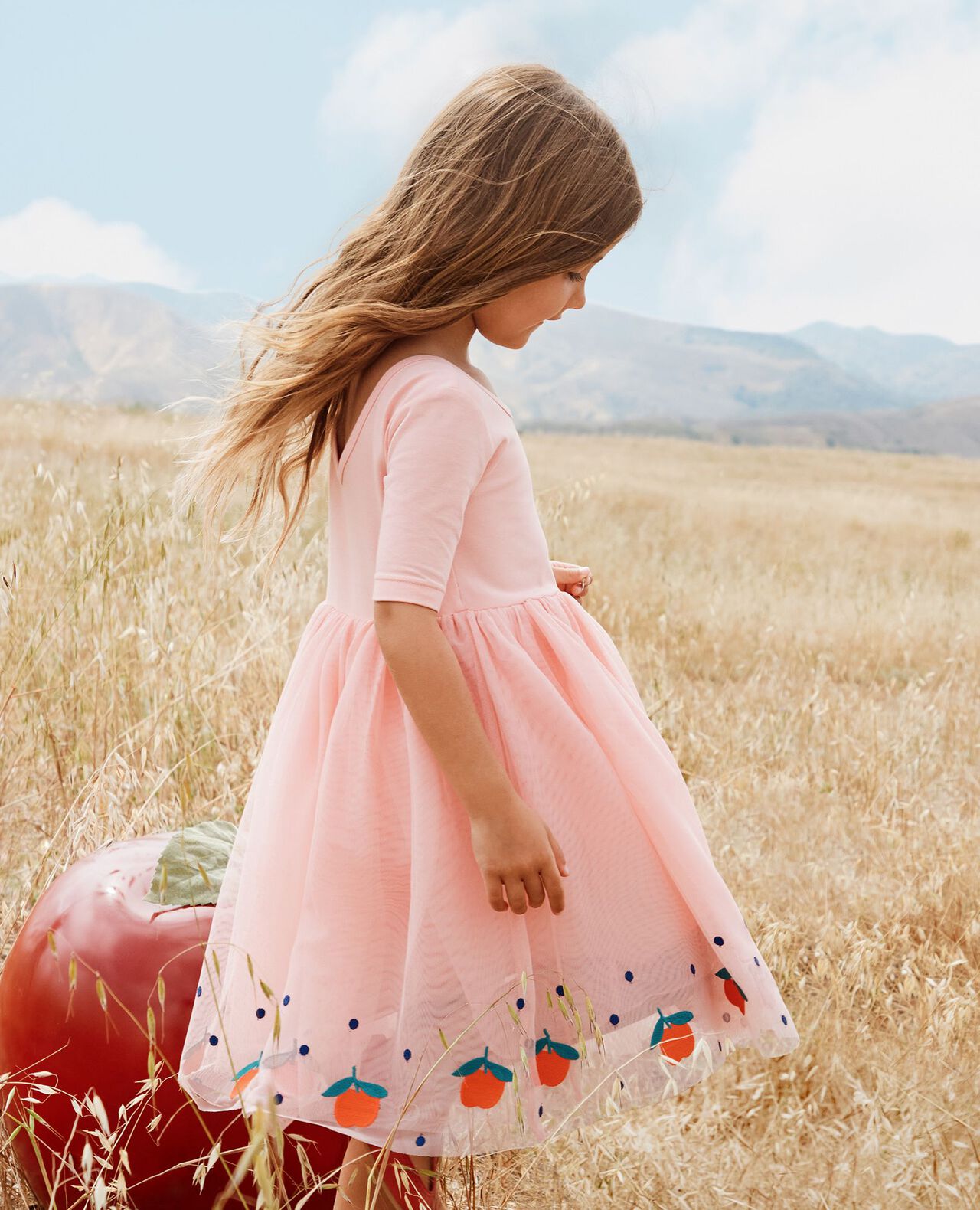 Embroidered Tulle Dress - Image 7