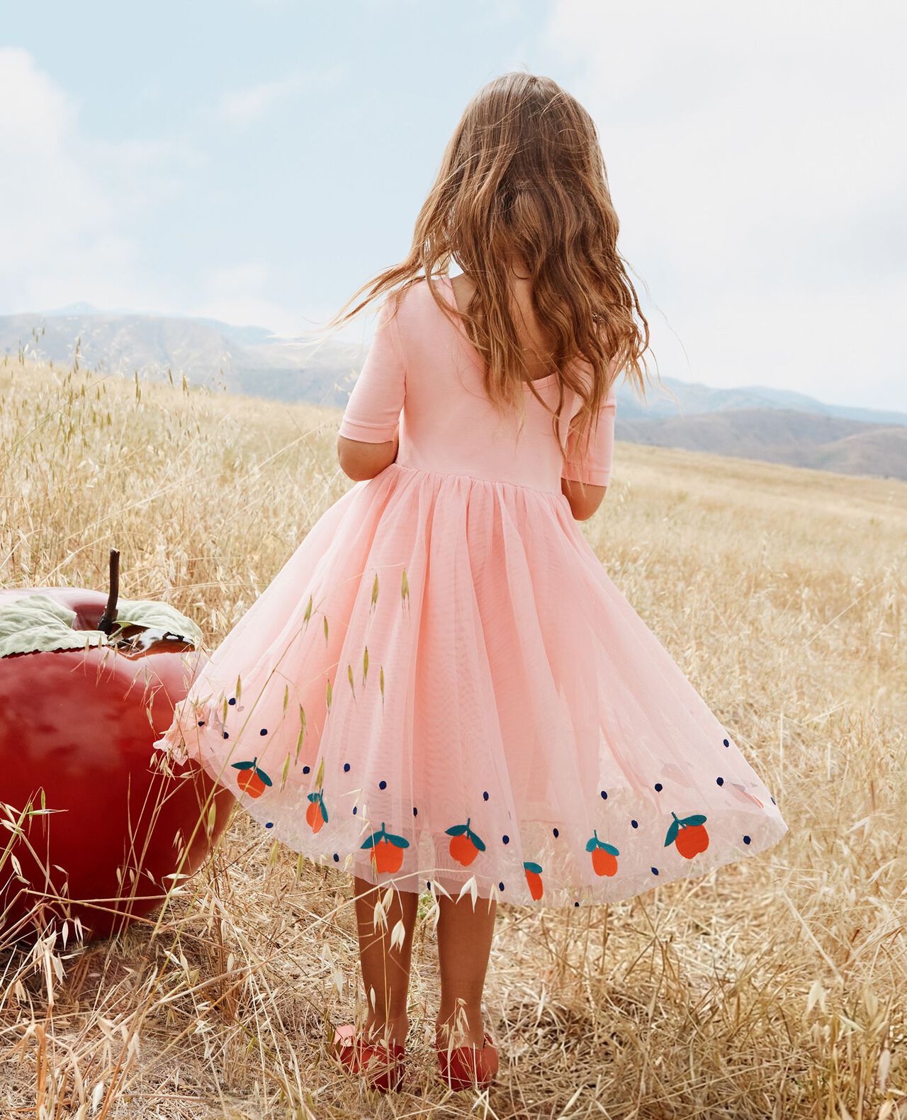 Embroidered Tulle Dress - Image 8